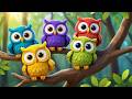 Five Little Owlets Hoot Hoot Hoot Night Owl Song For Kids Nursery Rhymes
