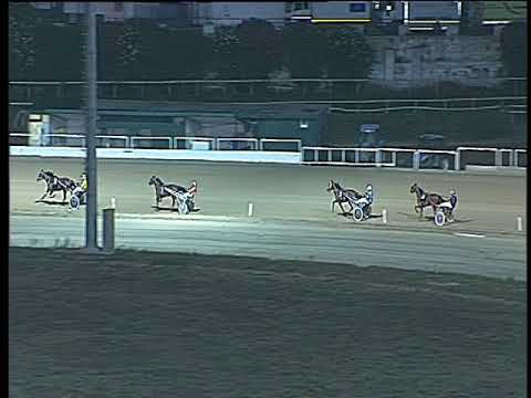 Trotto 26/08/2017 - 3ª prova di qualifica