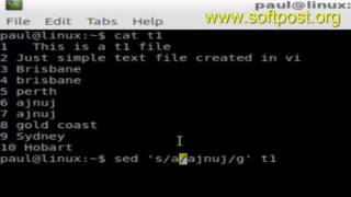 How to find and replace text in a file in BASH shell terminal