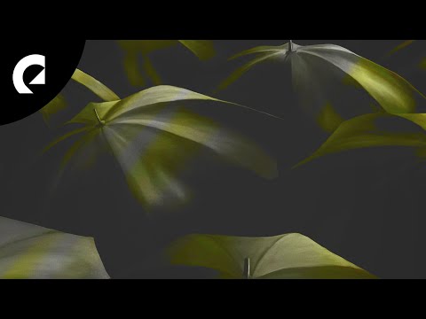 Wanderer's Trove - A Hard Truth