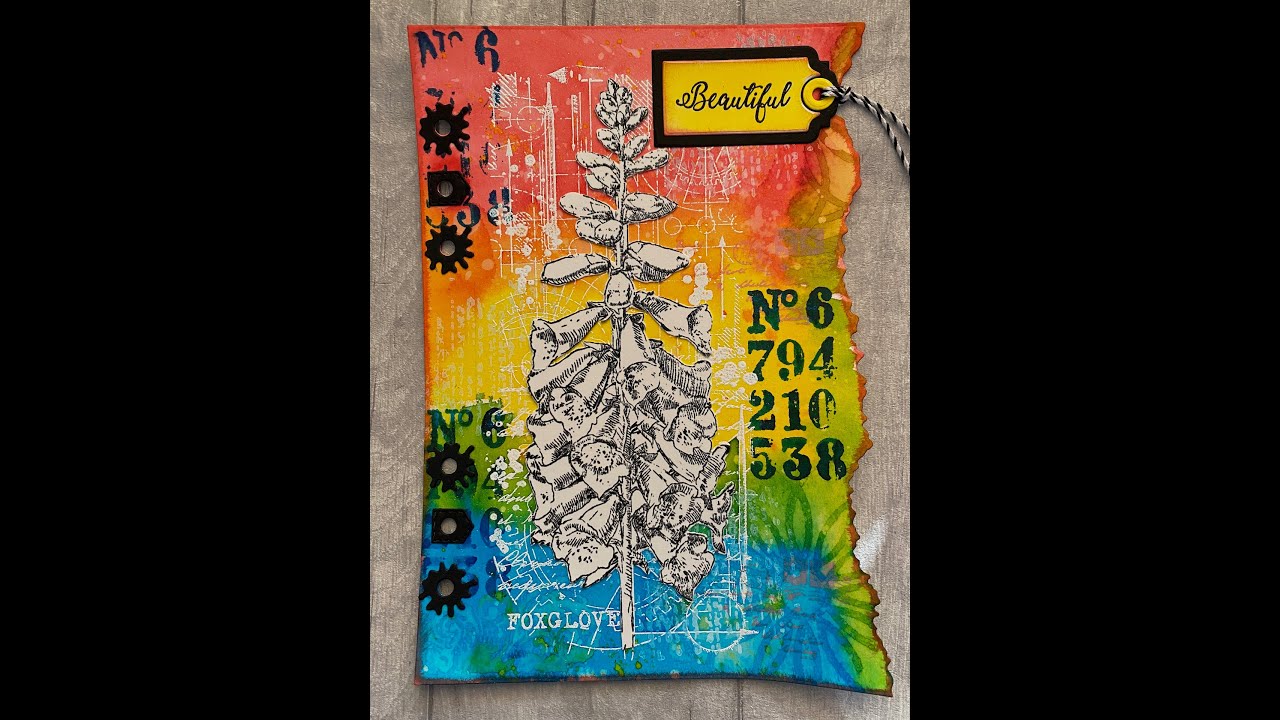 IndigoBlu Vivids Part One