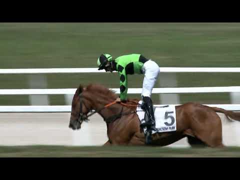 Magányos Díj Fit to Fly