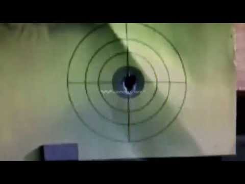 Hatsan AT44-10 .22 Vs. FX Royale 400 .22?