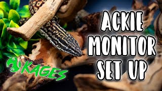 Ackie Monitor Set Up from Kages // PVC Reptile Enclosure