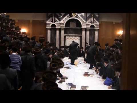 Sanz Klausenburg Rebbe Throws Apples Shul Decends into Pandemonium