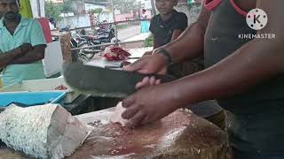 10kg పండు గప్ప చేప కట్టింగ్ చూడండి ✂️🐠🐟