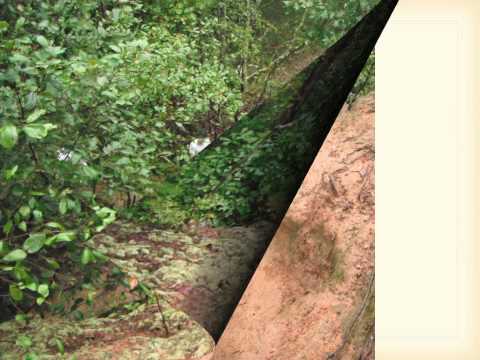 FBINA Session 246 - The "Yellow Brick Road" Challenge