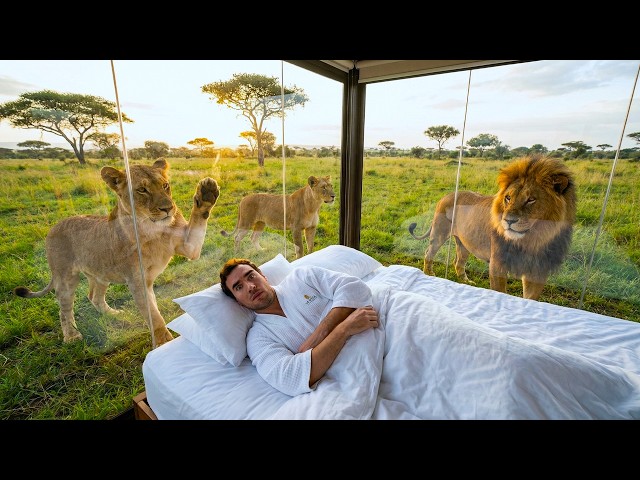 I Stayed in Wild Hotels SDDEFAULT Thumbnail