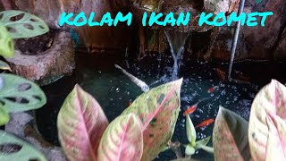 Download lagu KOLAM IKAN KOMET DAN TAMAN MINIMALIS #kolamikankomet #tamanminimalis #ikankomet #kolamikan mp3 Download lagu KOLAM IKAN KOMET DAN TAMAN MINIMALIS #kolamikankomet #tamanminimalis #ikankomet #kolamikan mp3