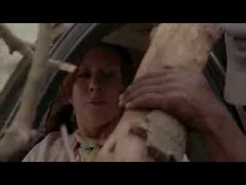 Private Practice - Episode 3.07 - The Hard Part - Sneak Peek #01