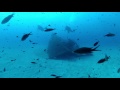 East Coast Divers Mallorca 2016, East Coast Divers, Porto Colom, Mallorca, Spanien, Balearen