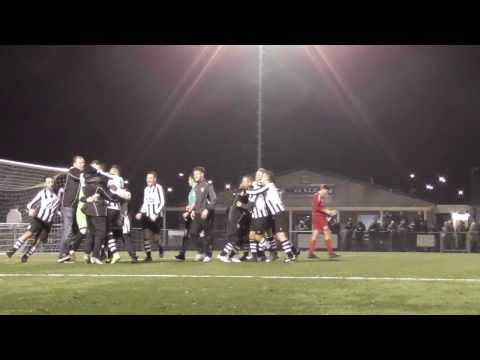 Oosterhout - Pelikaan