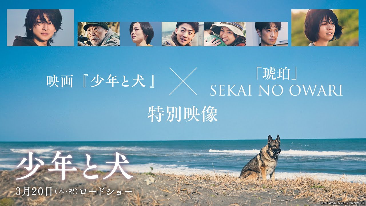映画『少年と犬』×「琥珀」特別映像【3月20日(木・祝)公開】
