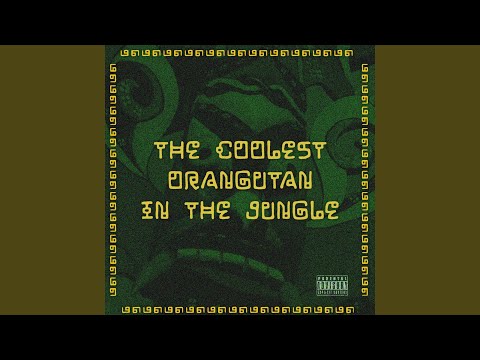 The Coolest Orangutan in the Jungle