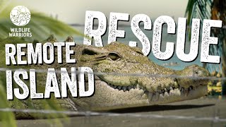 INTENSE Crocodile Rescue on a Remote Tropical Island