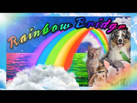 The Rainbow Bridge 🌈 poem about the loss of a pet - pet memorial poem