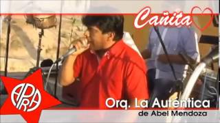 preview picture of video 'Spot Cañita en Los Pollitos - ALCALDE POR ICA 2015'