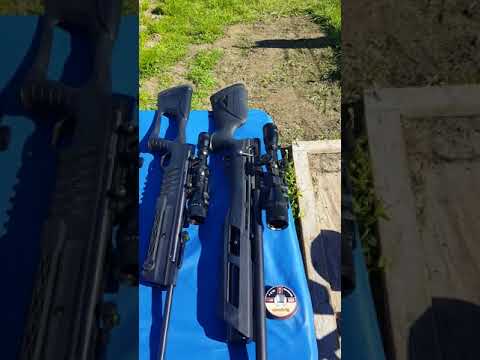 Umarex Gauntlet, Umarex Fuel, Benjamin Prowler, and Beeman Kodiak X2.  All .22 cal. pellet rifles.