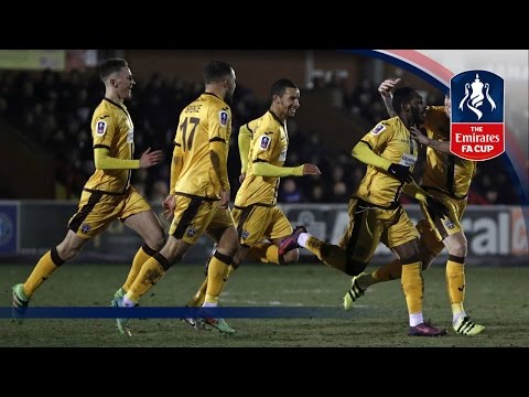 Best Goals - 3rd Round Emirates FA Cup 2016/17 | Top Five