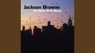 The Birds Of St. Marks