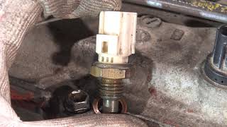 How to replace engine TEMP sensor. Years 2000 to 2018