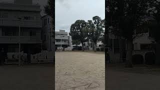 左翼の行動原理  #n国 #左翼 #高市政権　#立花孝志 #トランプ大統領