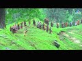 Goodbye Namaste Salaam Full Video Song : Suryavanshi | Salman Khan, Sheeba |