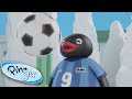 Pingu Plays Football Pingu Pingu In The City Cartoons For Kids