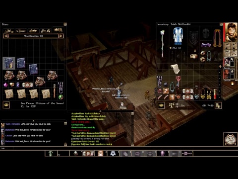 Neverwinter Nights: Enhanced Edition with friends