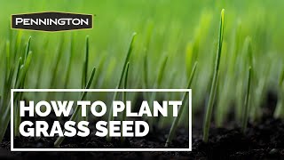 How to Plant Grass Seed - Pennington Grass Seed