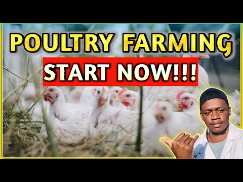 , title : 'Poultry Farming For Beginners'