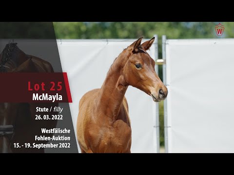 Online-Auktion Lot 25 McMayla Stute v. McLaren - Johnson