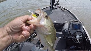 Practicing For My First FLW BFL of the Season!!! Spring Bass Fishing on Kerr Lake/Buggs Island