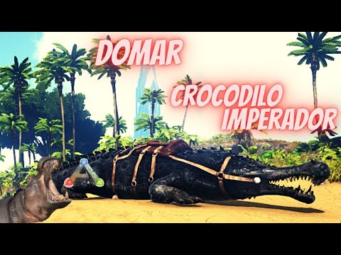 Como domar o crocodilo Imperador (Sarcosuchus) - ark survival evolved