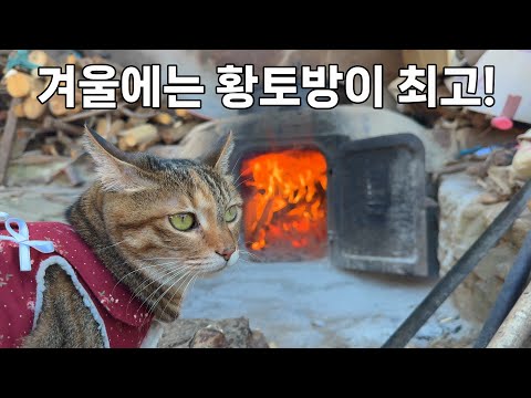 빨리 황토방에 몸 지지러 가고 싶어서 맘이 급한 시골 똥고양이