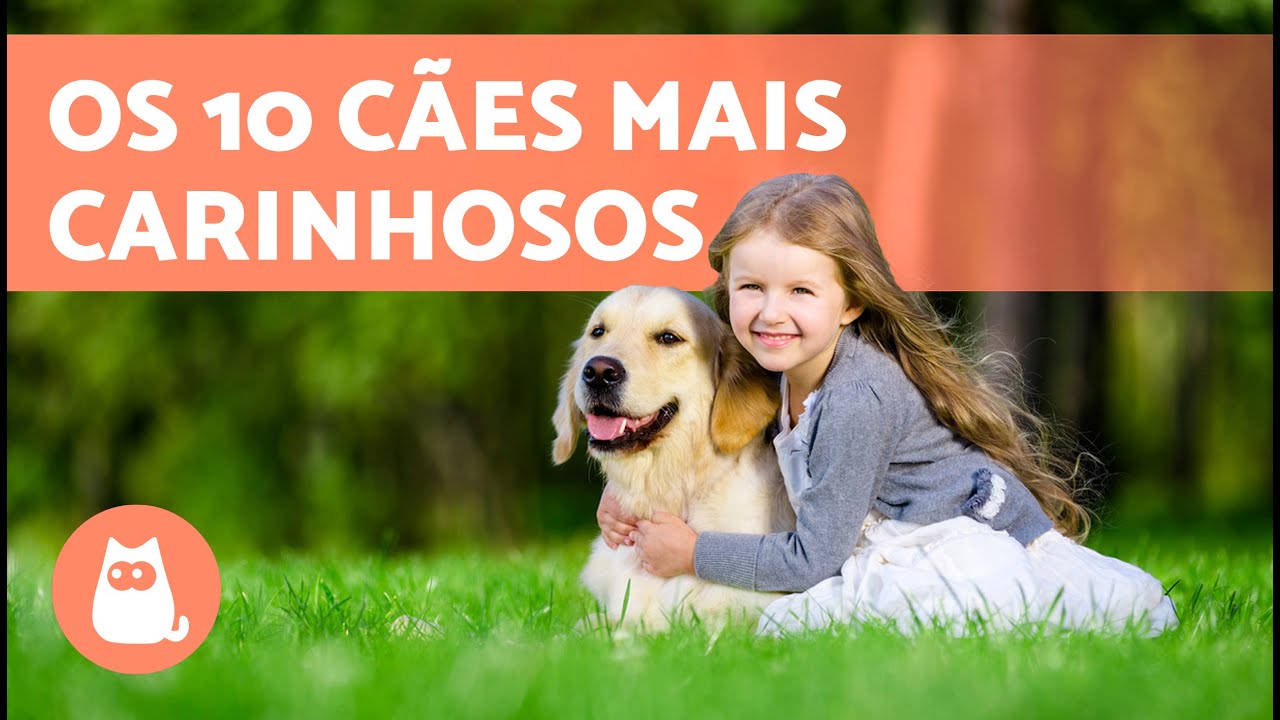 10 RAÇAS DE CACHORROS mais CARINHOSAS do mundo 🐶❤️