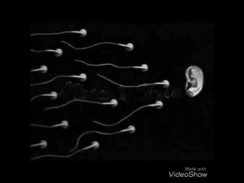 Mosesh Style - Walking on the moon mix