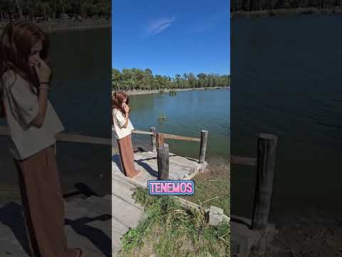 Camping Bahía de los Lobos - Laguna de Lobos - Pcia. de Bs.As. 