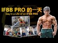 IFBB Pro 的一天 Vlog (Day in a Life of an IFBB Pro Athlete) | IFBB Pro Terrence Teo
