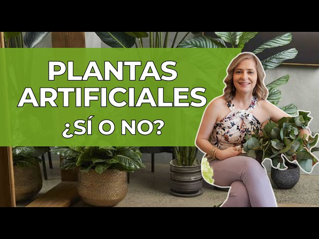 Vídeo relacionado con Planta Artificial Colgantes con Maceta, 2 PCS Plantas Artificiales Decorativas, Plantas Falsas Plástico, Artificiales Macetas Plantas, Plantas Artificiales Exterior para Casa Oficina Mesa Decoración