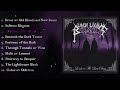 Black Light Council Lords Ov The Last Days 2023 Full Album South Africa