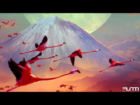 Really Slow Motion - Spreading Wings (Epic Uplifting Fantasy Orchestral)