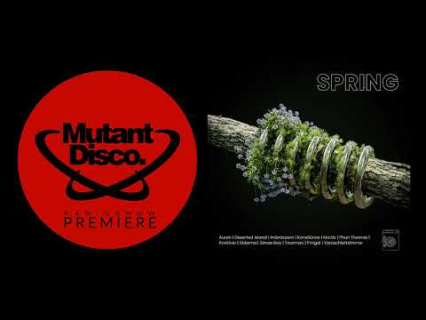 PREMIERE : Shkema - Digital Pain (Skalbiankė)