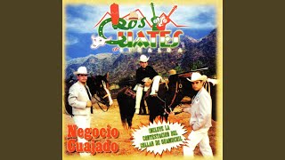 Azucena de Guamuchil