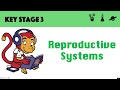 Reproductive Systems