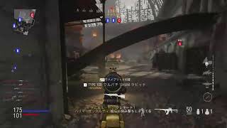 二発で死ぬクソゲーその名はcodv　直挿し適当［LIVE配信］
