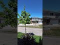 thumb-youtube