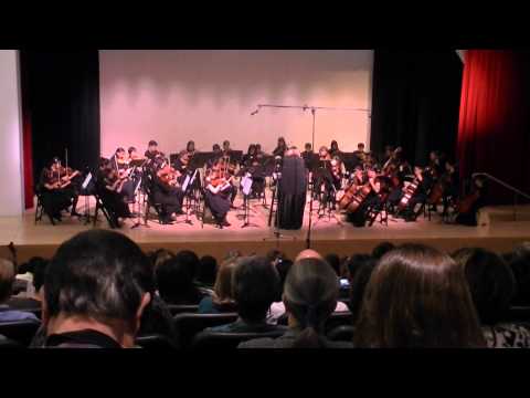 Prelude String Orchestra - Black River Ballad