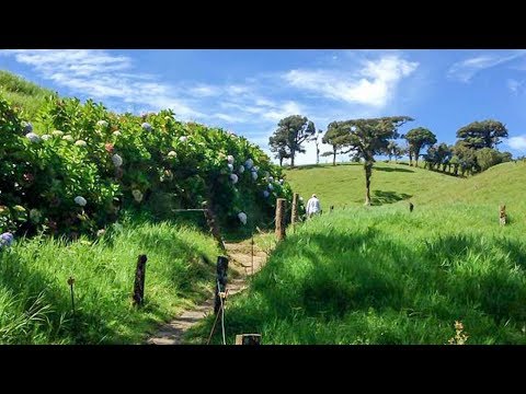 Dairy farm in Monteverde Puntarenas