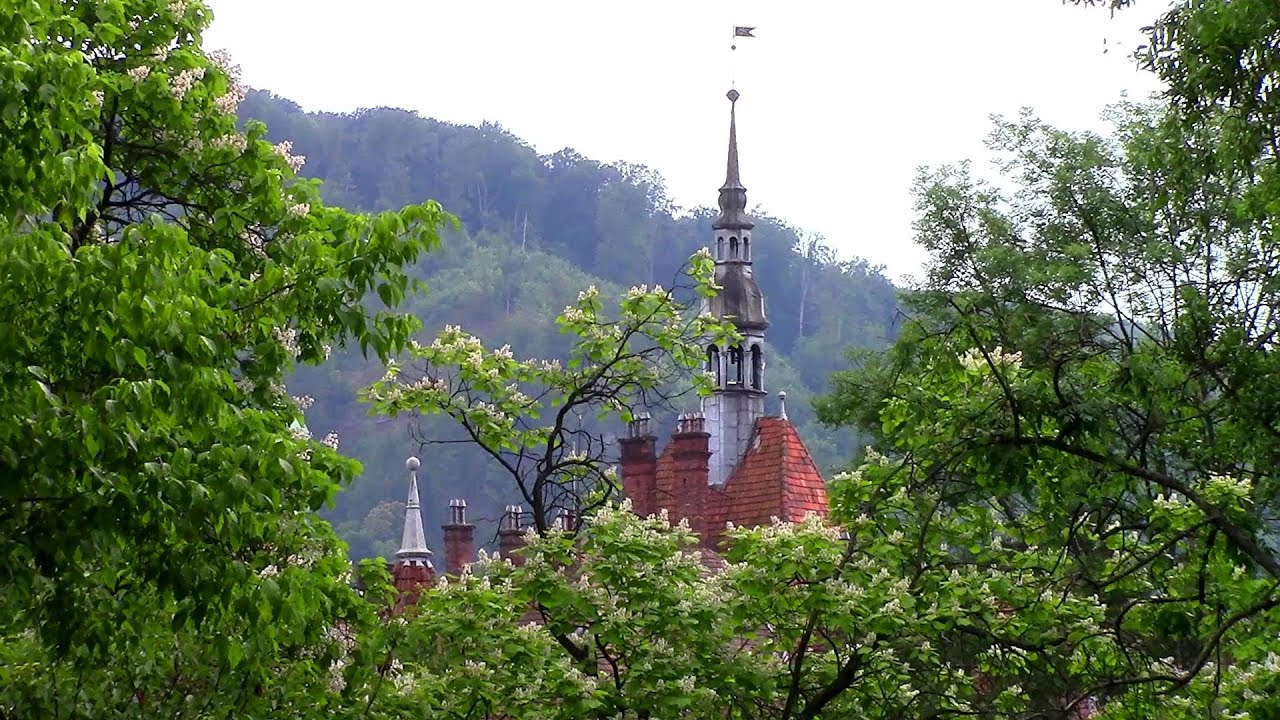 Полезное видео